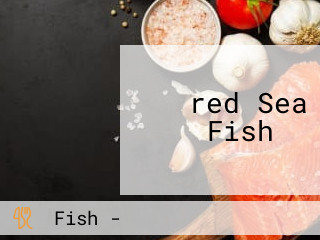 ‪red Sea Fish ‬