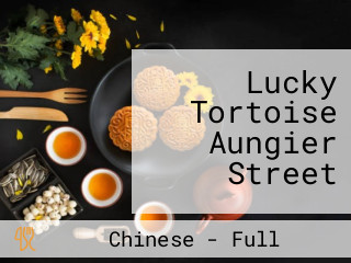 Lucky Tortoise Aungier Street