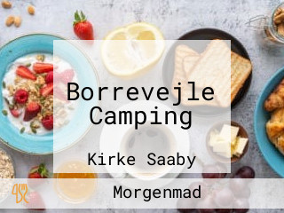 Borrevejle Camping