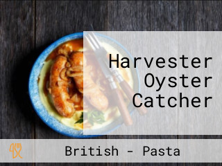 Harvester Oyster Catcher