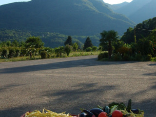 La Buca Dei Gracchi