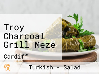 Troy Charcoal Grill Meze