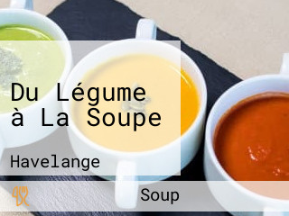 Du Légume à La Soupe