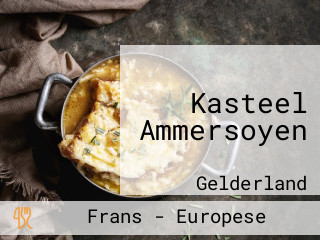 Kasteel Ammersoyen