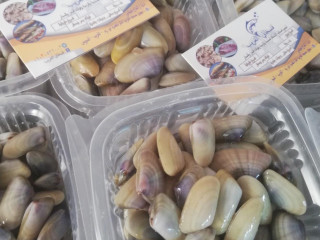 Elghareb Salted Fishes