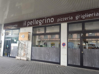 Il Pellegrino