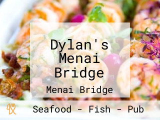Dylan's Menai Bridge