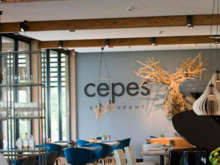 Cèpes