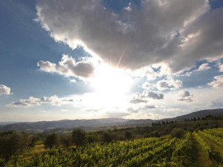 Fattoria Lavacchio Bio Winery