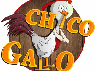 Chico Gallo