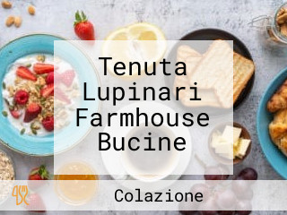 Tenuta Lupinari Farmhouse Bucine