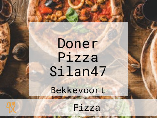 Doner Pizza Silan47