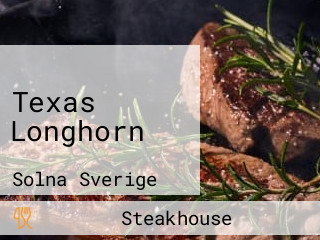 Texas Longhorn