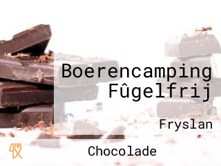 Boerencamping Fûgelfrij