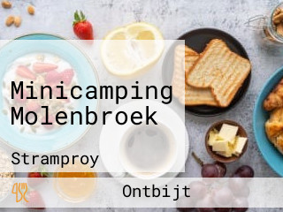 Minicamping Molenbroek