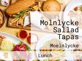 Molnlycke Sallad Tapas