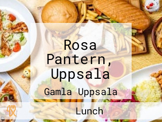 Rosa Pantern, Uppsala