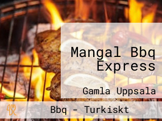 Mangal Bbq Express