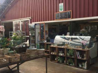 Osmo Plantshop Cafe