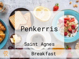 Penkerris