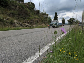 Antica Trattoria La Foce