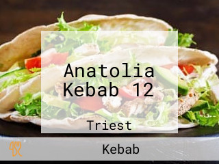 Anatolia Kebab 12