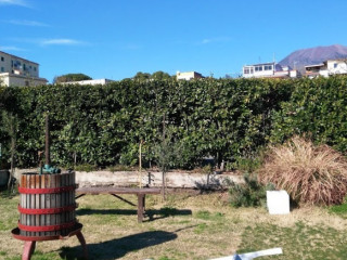 Azienda Agricola La Fattoria