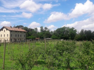 Agricola Brusignone