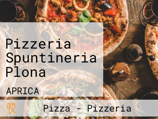 Pizzeria Spuntineria Plona