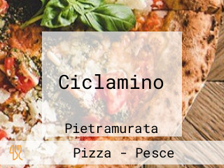 Ciclamino