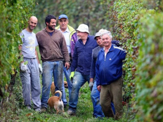 Cantina Rocca Giovanni