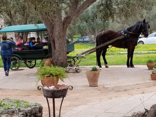 Agriturismo Gli Ulivi