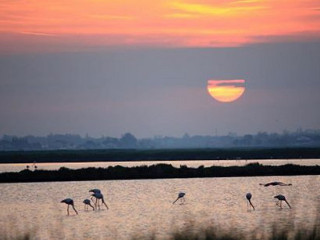 Locanda La Dama Delle Saline