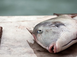 Trattoria Di Pesce Donnalina