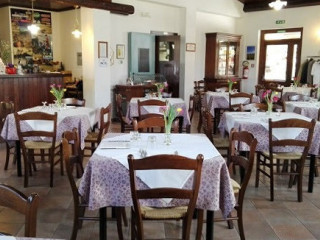 Trattoria Filomena