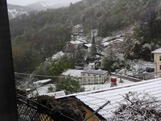 La Stella Alpina