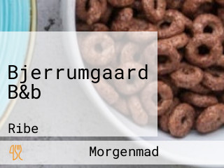 Bjerrumgaard B&b