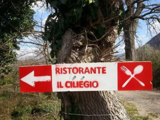 Il Ciliegio