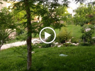 Il Giardino Di Maria