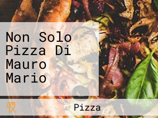 Non Solo Pizza Di Mauro Mario