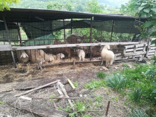 Il Poggio Dell'arabella Agriturismo