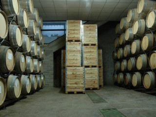 Tenuta Pietrapinta