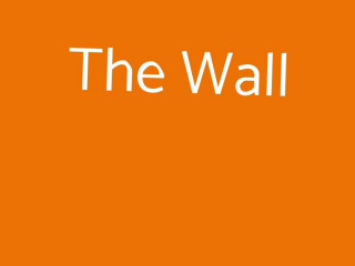 The Wall