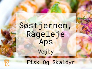 Søstjernen, Rågeleje Aps