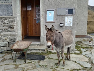 Rifugio Bertacchi