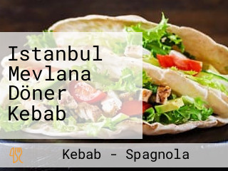 Istanbul Mevlana Döner Kebab