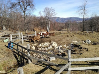 Agriturismo Il Barchetto