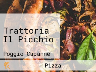 Trattoria Il Picchio