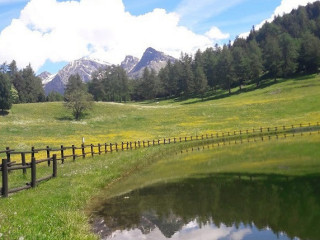 Brasserie Du Vieux Skilift