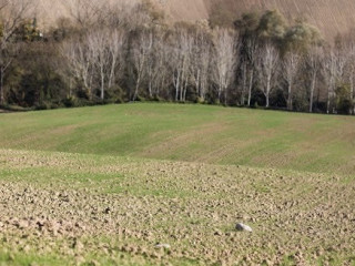 Fattoria Della Bontà